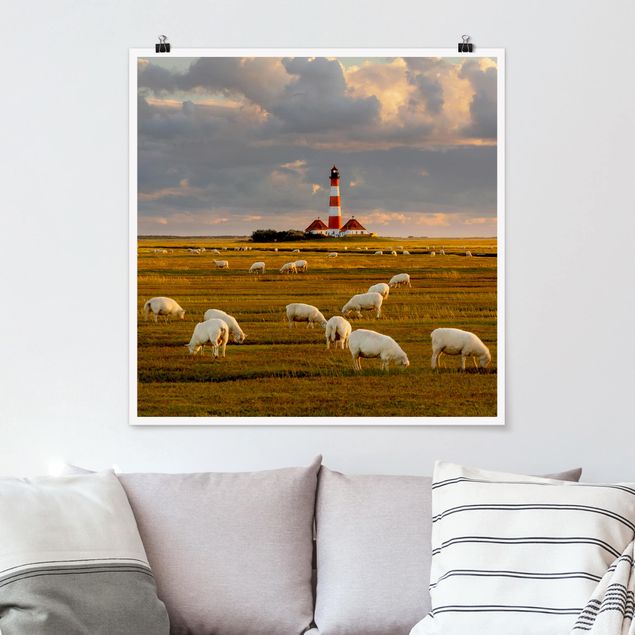 Landscape canvas prints North Sea Lighthouse With Flock Of Sheep