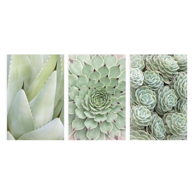 Green canvas wall art Agave and Succulent Trio