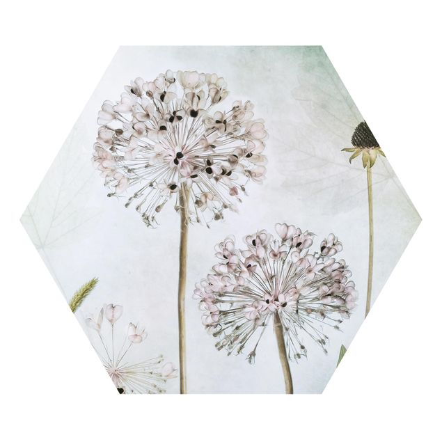 Forex prints Allium flowers in pastel