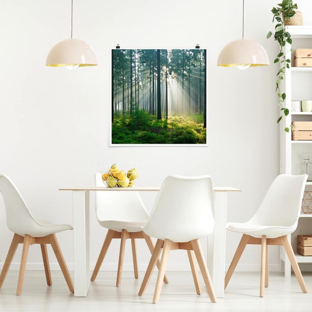Kitchen Enlightened Forest