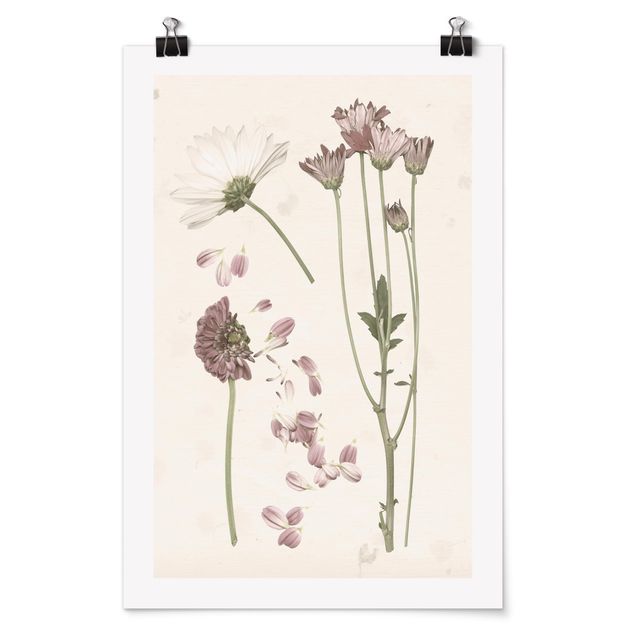 Floral picture Herbarium In Pink II