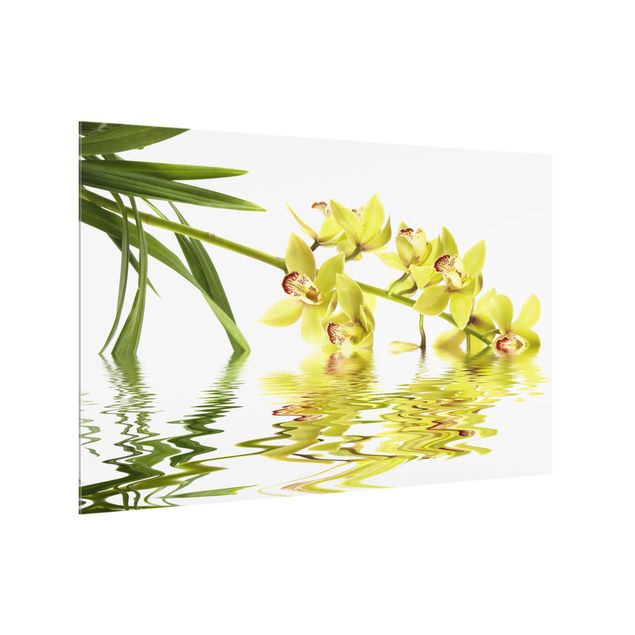 Glass splashbacks Elegant Orchid Waters