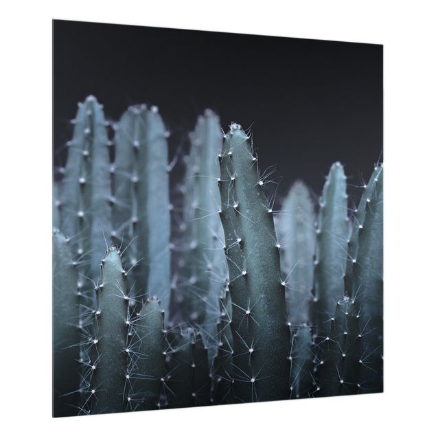 Monika Strigel Art prints Desert Cactus At Night