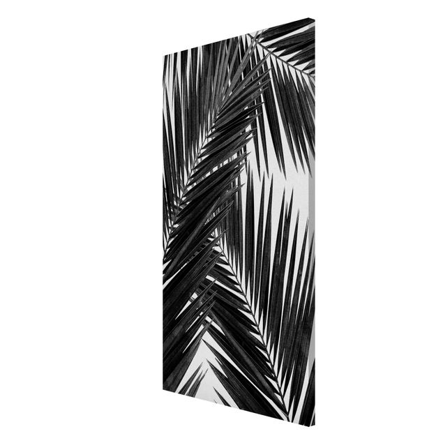 Magnet boards flower View Through Palm Leaves Black And White