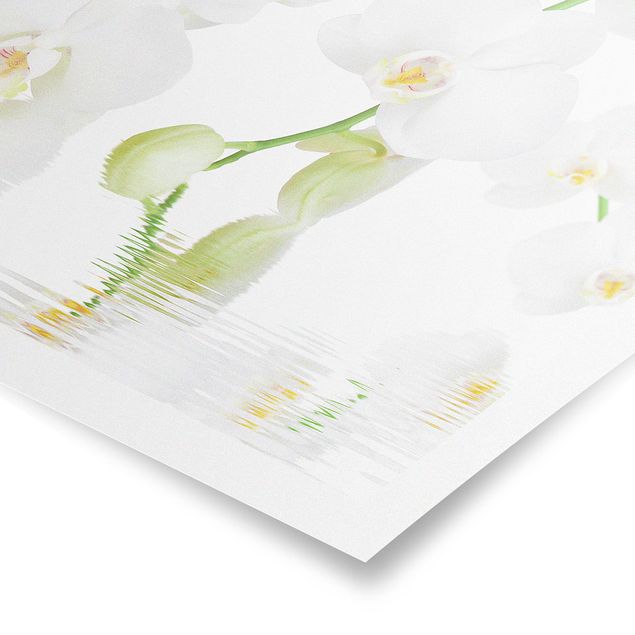 Prints modern Spa Orchid - White Orchid