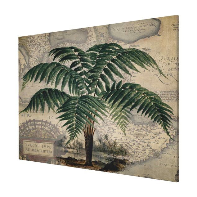 Magnet boards flower Vintage Collage - Palm And World Map