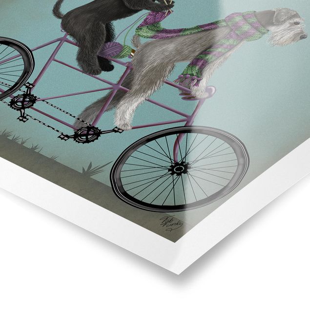 Prints nursery Cycling - Schnauzer Tandem