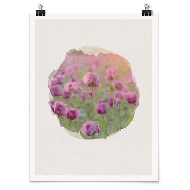 Prints flower WaterColours - Violet Poppy Flowers Meadow In Spring