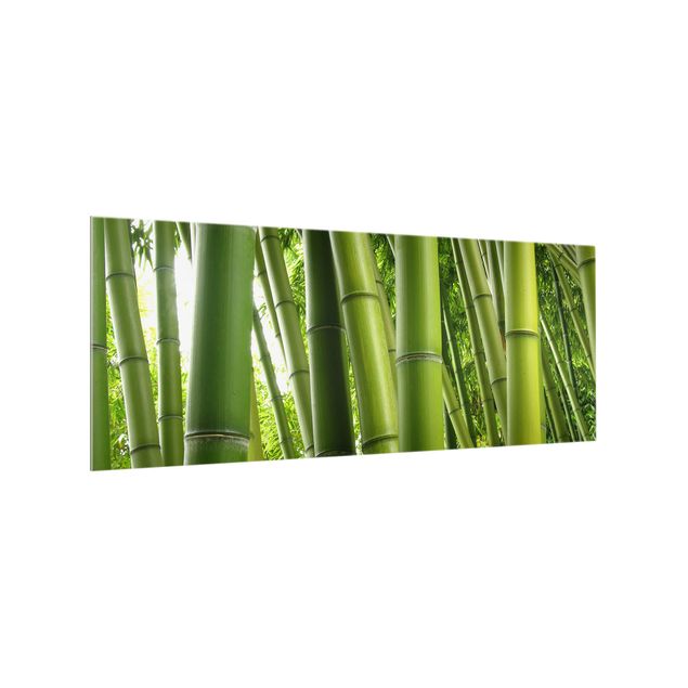 Glass splashback landscape Bamboo Trees