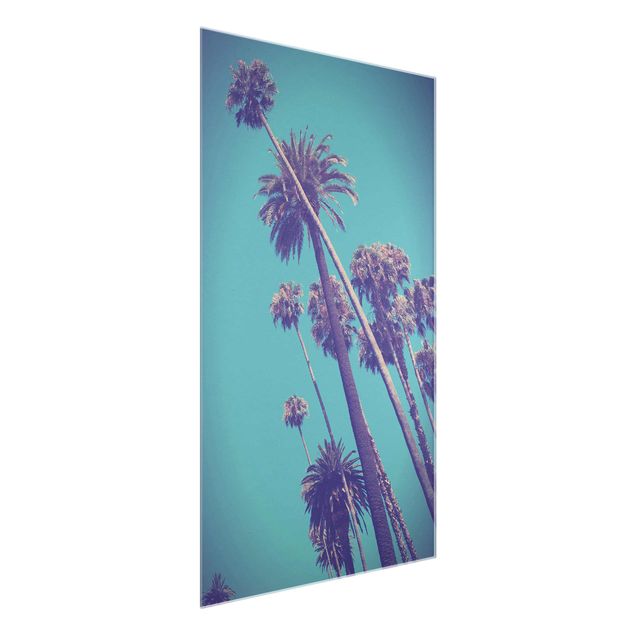 Glass prints flower Tropical Plants Palm Trees And Sky