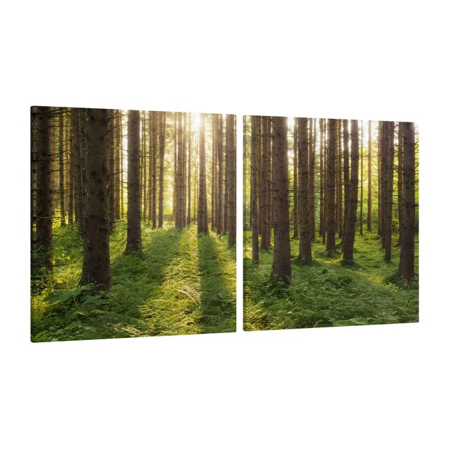 Trees on canvas Sun Rays In Green Forest