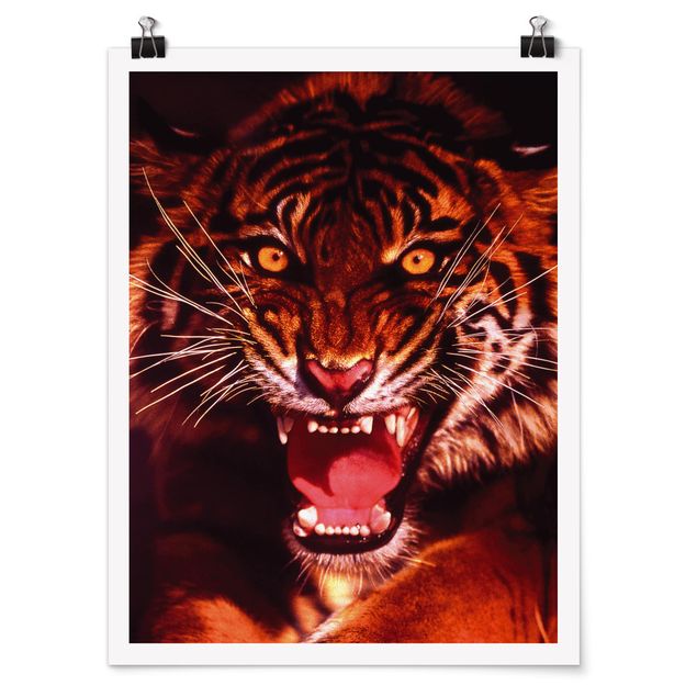 Contemporary art prints Wild Tiger