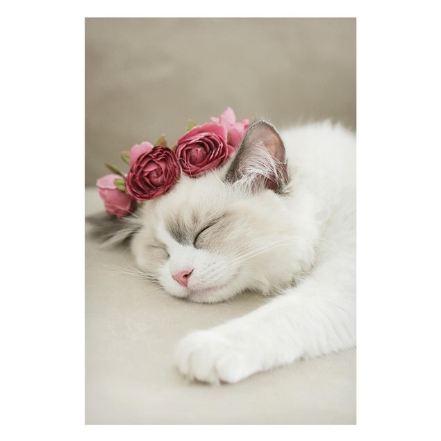 Cat prints Sleeping Cat with Roses