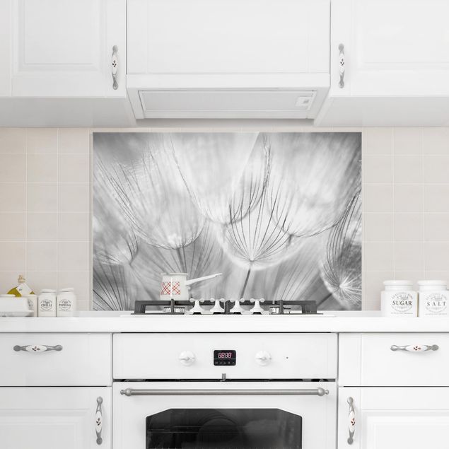 Glass splashback kitchen flower Dandelions Macro Shot In Black And White