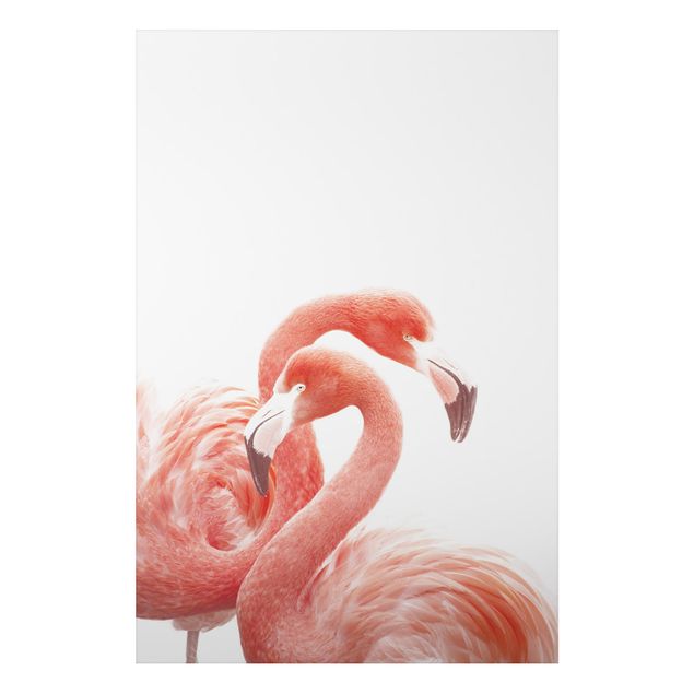Animal canvas Two Flamingos