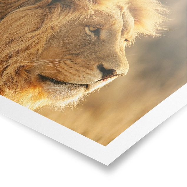 Prints modern King Lion