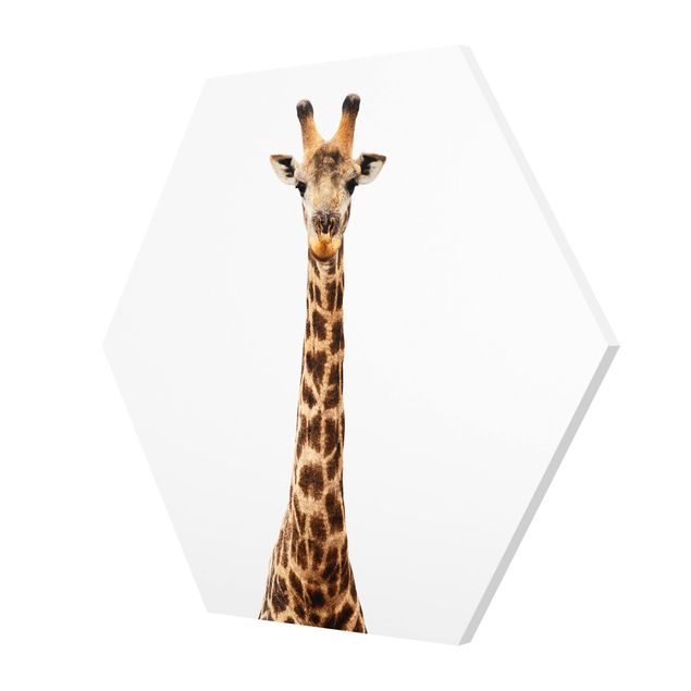 Prints Giraffe head
