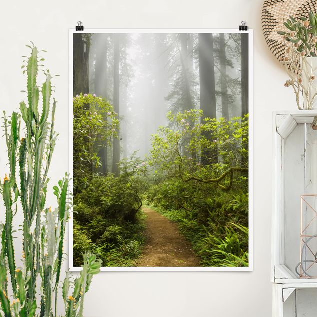Prints landscape Misty Forest Path