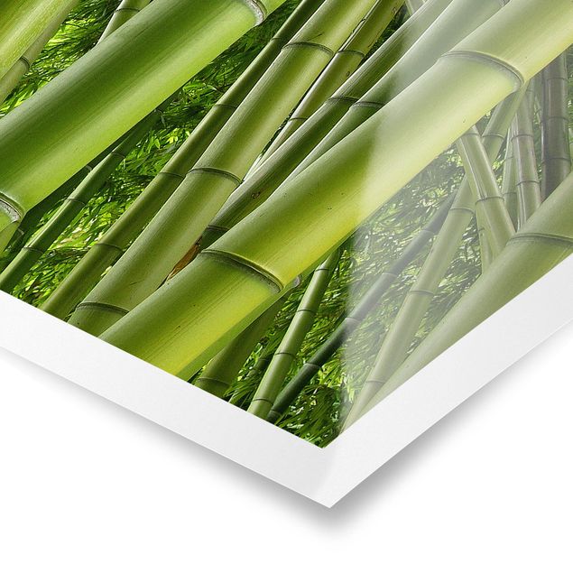 Prints modern Bamboo Trees No.2