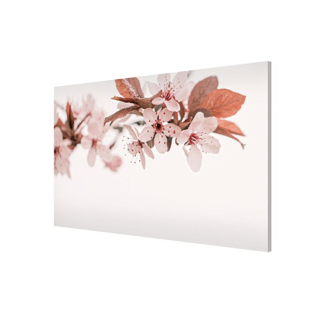Floral canvas Delicate Cherry Blossoms On A Twig