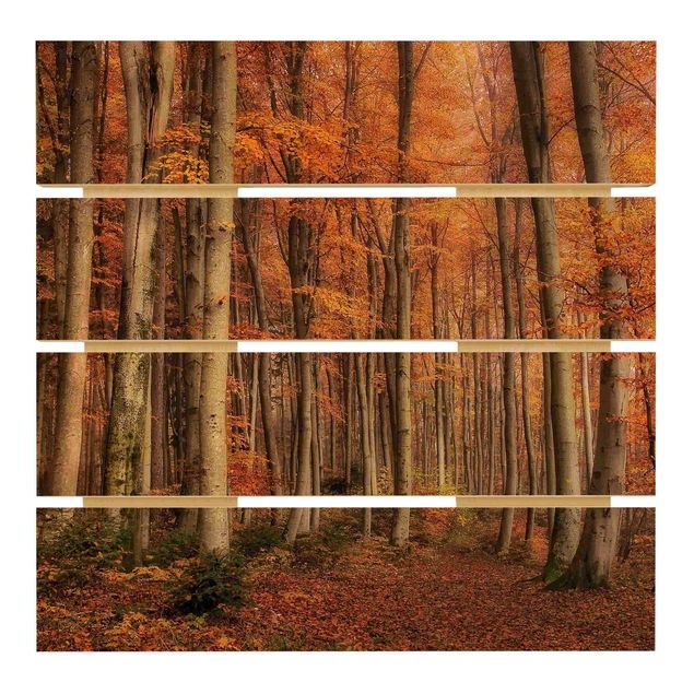 Prints on wood Autumn Stroll