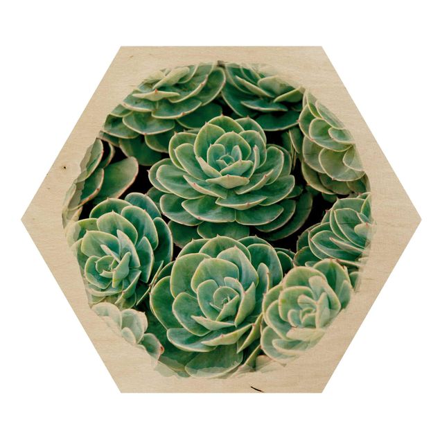 Wooden hexagon - Water Colours - Green Succulents