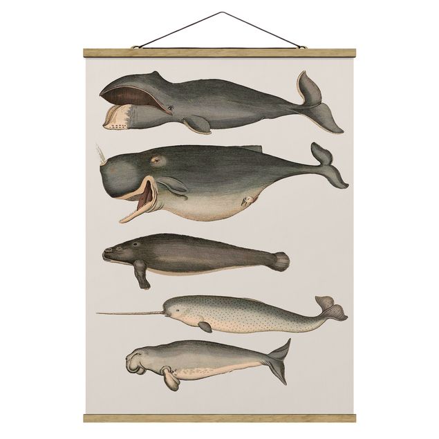 Prints animals Five Vintage Whales