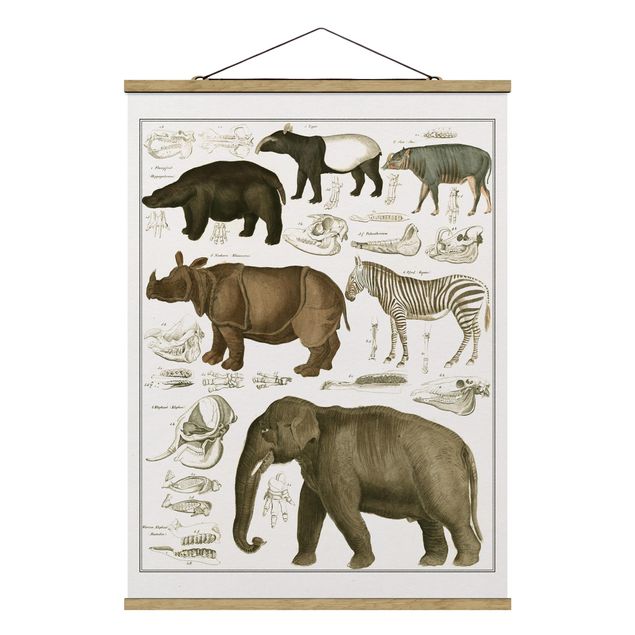 Prints landscape Vintage Board Elephant, Zebra And Rhino