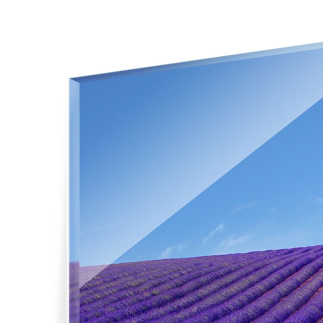 Glass Splashback - Lavender Fragrance In Provence - Panoramic
