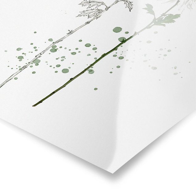 Modern art prints Botanical Watercolour - Dandelion