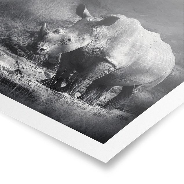 Black and white art Lonesome Rhinoceros