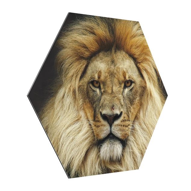 Modern art prints Wisdom Of Lion