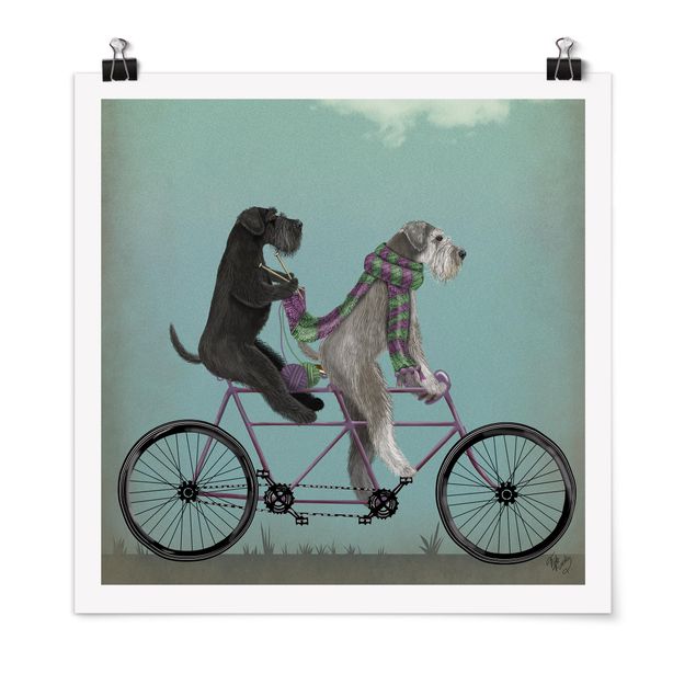 Dog wall art Cycling - Schnauzer Tandem