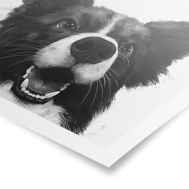 Animal wall art Illustration Dog Border Collie Black And White Painting