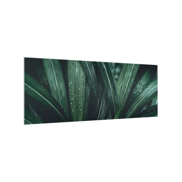Glass splashback Green Palm Leaves