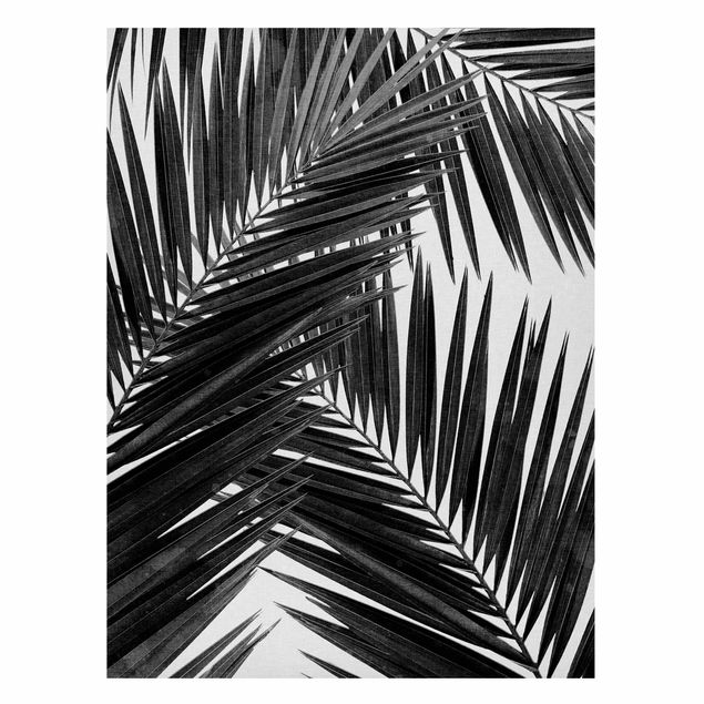 Prints landscape View Through Palm Leaves Black And White