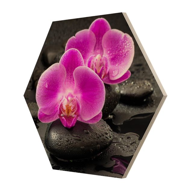 Uwe Merkel Pink Orchid Flowers On Stones With Drops