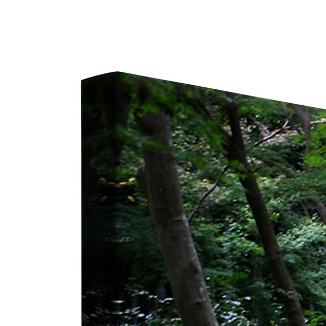 Canvas landscape Japanese Forest