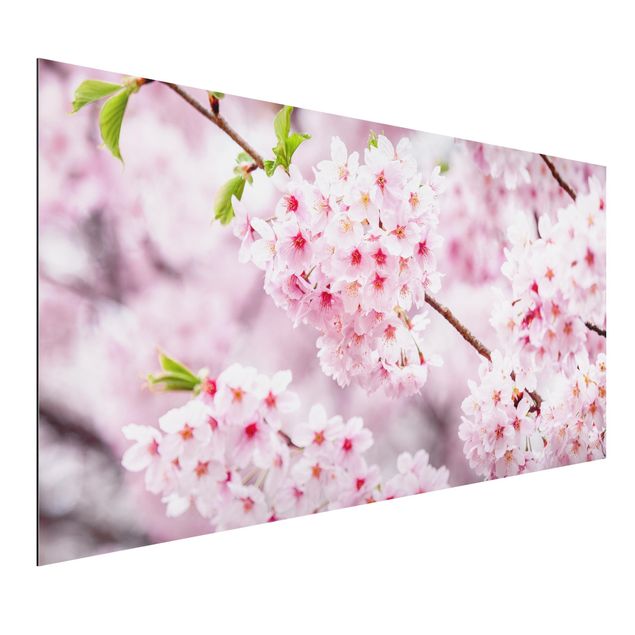 Kitchen Japanese Cherry Blossoms