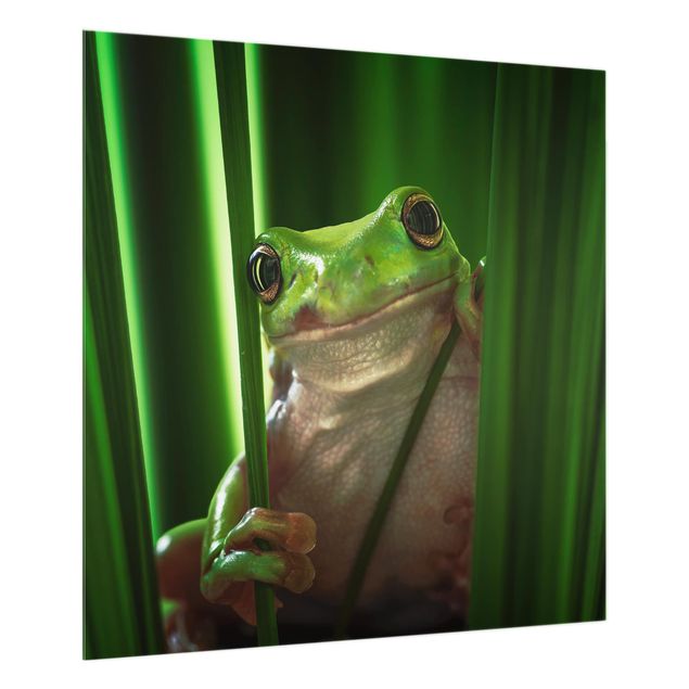 Glass splashback kitchen Happy Frog
