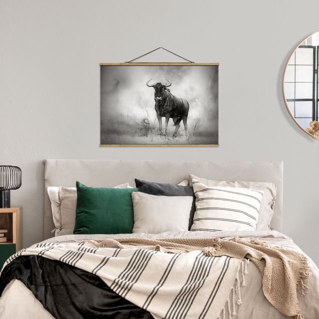 Animal canvas Staring Wildebeest