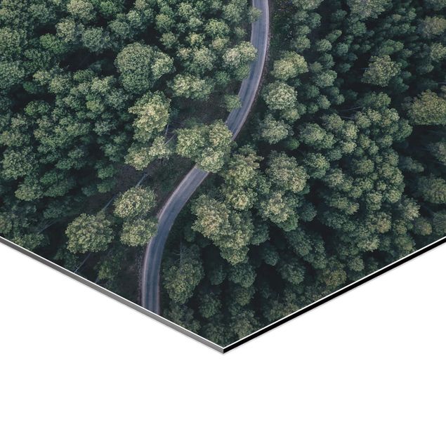 Hexagonal prints Aerial View - Forest Road From The Top