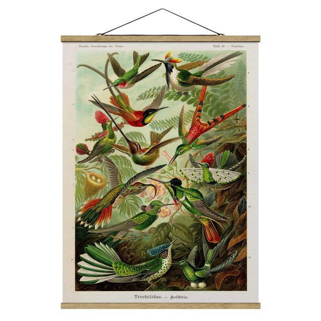 Prints floral Vintage Board Hummingbirds