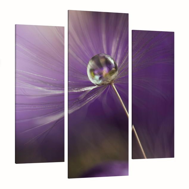 Prints flower Dandelion In Violet