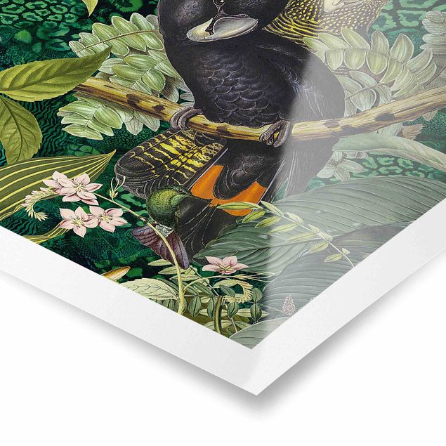 Green canvas wall art Colourful Collage - Cockatoos In The Jungle