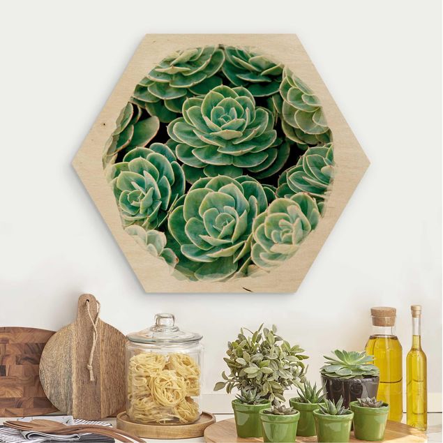 Wood prints flower Water Colours - Green Succulents