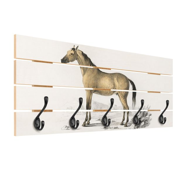 Coat rack - Vintage Board Horse
