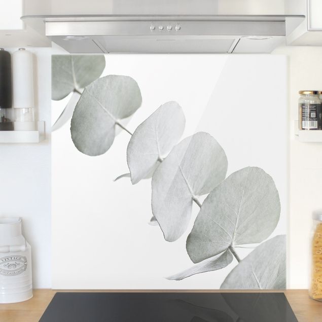 Kitchen Eucalyptus Branch In White Light