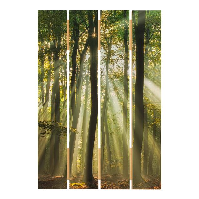 Wood photo prints Sunny Day In The Forest
