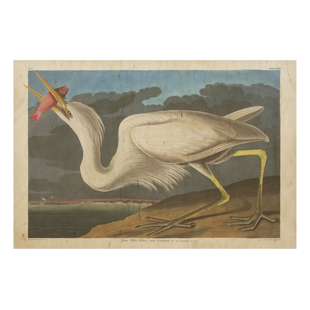 Vintage wood prints Vintage Board Great White Egret